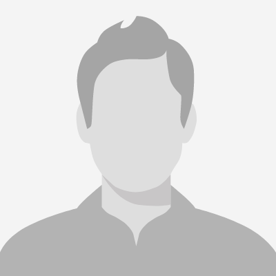 یک نویسنده دیدگاه وردپرس